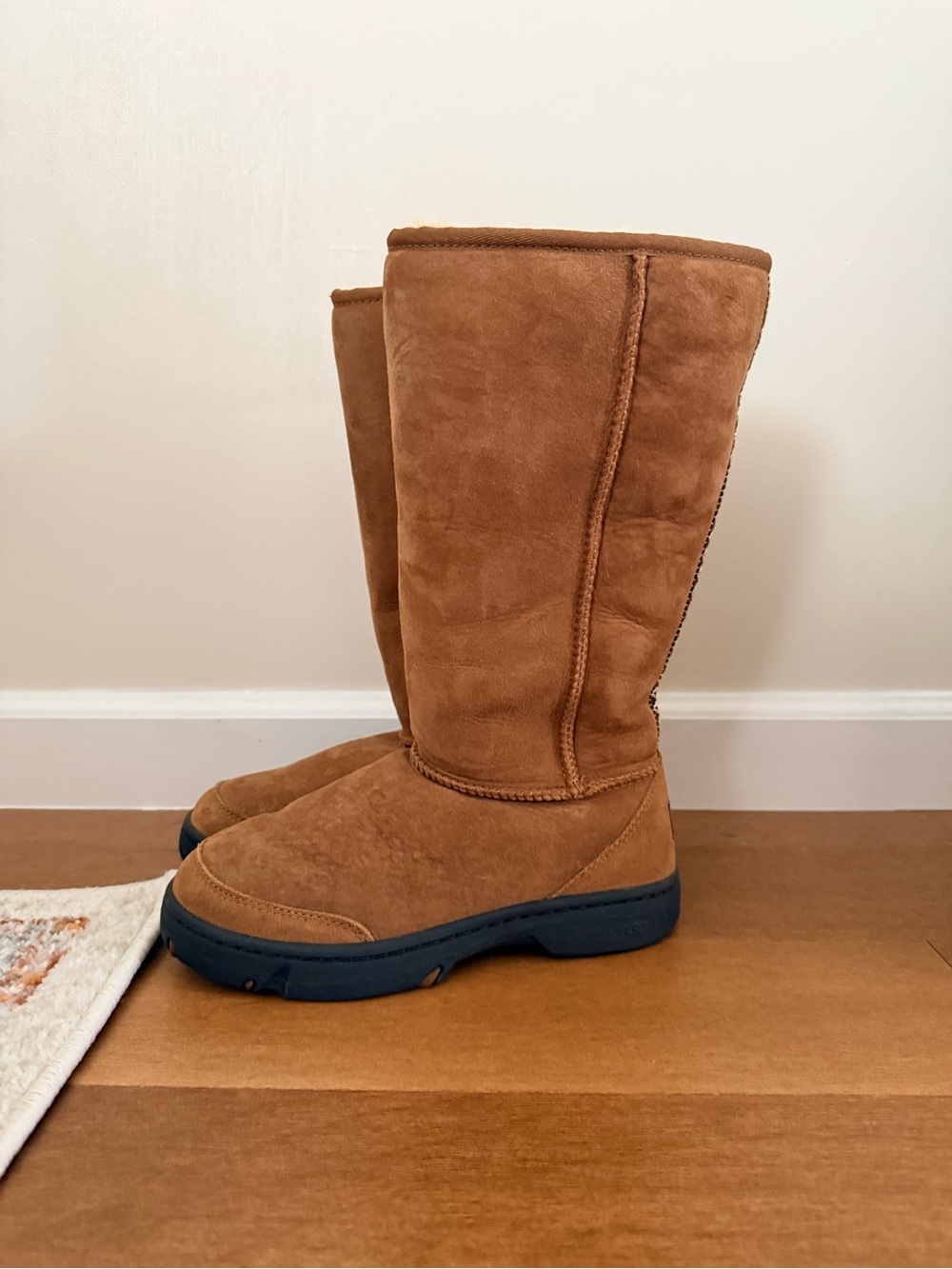 UGG Tall Chestnut Embroidered Boot, NWT